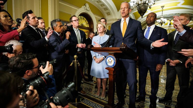 Thune, GOP reject pushing ‘rifle-shot’ government funding bills during shutdown